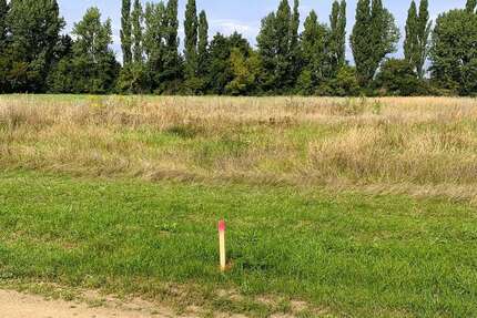Grundstück Bad Liebenwerda / OT Möglenz Möglenz - 99.000&euro; | Angebot:27305432