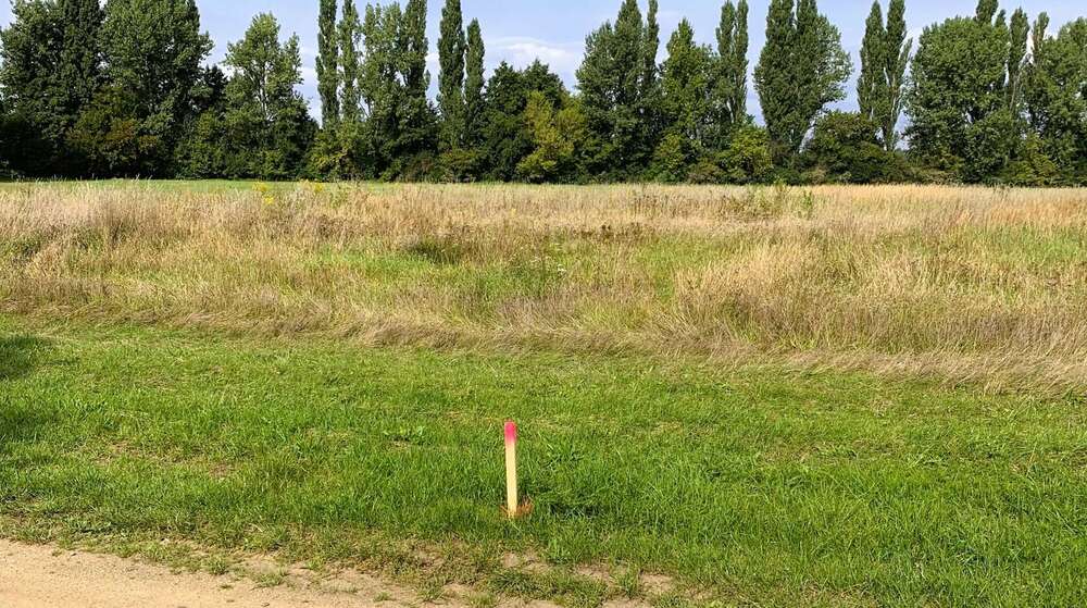 Grundstück Bad Liebenwerda / OT Möglenz Möglenz - 99.000&euro; | Angebot:27305432