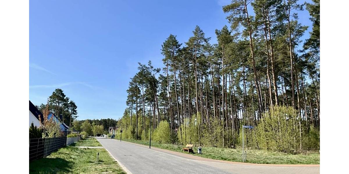 Grundstück Borkwalde / Alt Bork Alt Bork - 140.000&euro; | Angebot:26440134