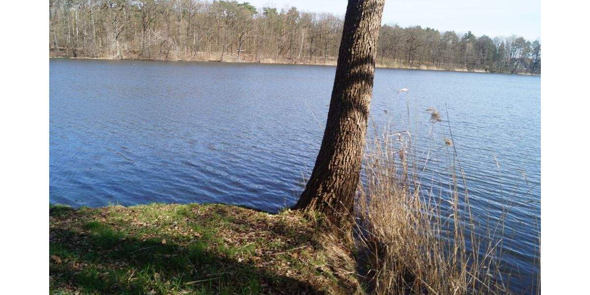 Grundstück Mittenwalde / OT Schenkendorf-Krummensee Krummensee - 799.000&euro; | Angebot:25663576