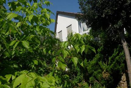 Studentenzimmer in 3-er WG 1 zimmer