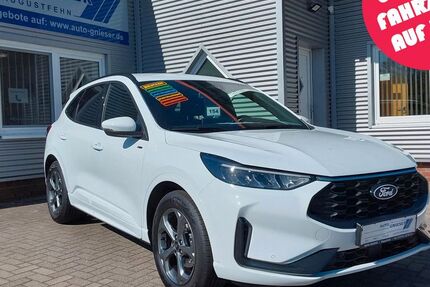 Ford Kuga 14.300 km 29.900 &euro; Augustfehn 26689