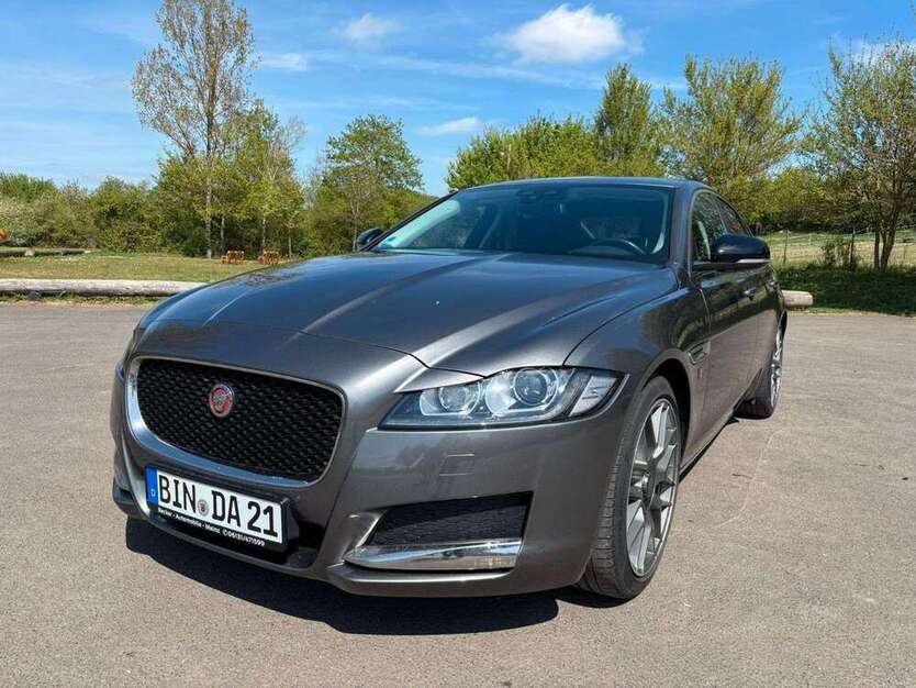 XF