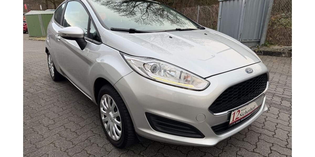 Ford Fiesta 12.500 km 7.950 &euro; Nassau 56377