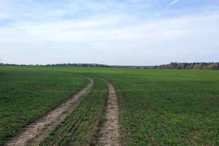 Grundstück Stahnsdorf / Güterfelde Güterfelde - 49.000&euro; | Angebot:22533376