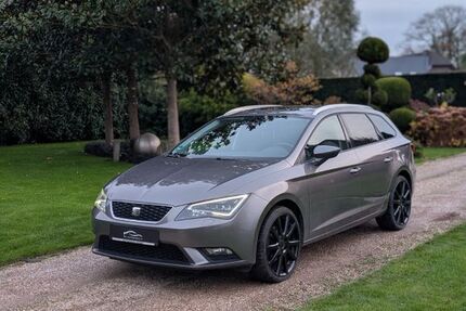 Seat Leon 158.625 km 8.999 &euro; Bocholt 46399