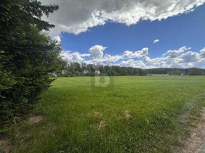 UNVERBAUBARER BLICK IN DIE NATUR