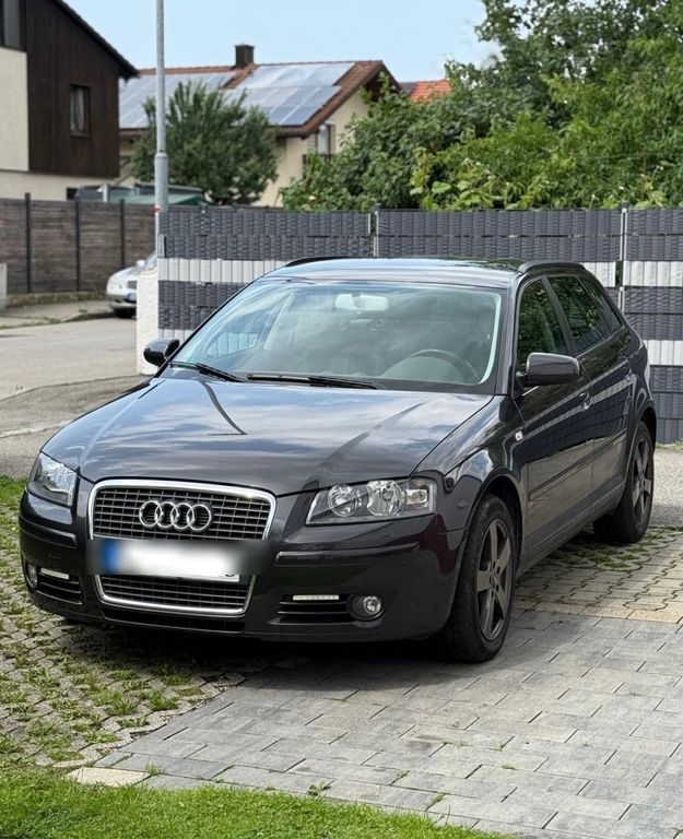 A3