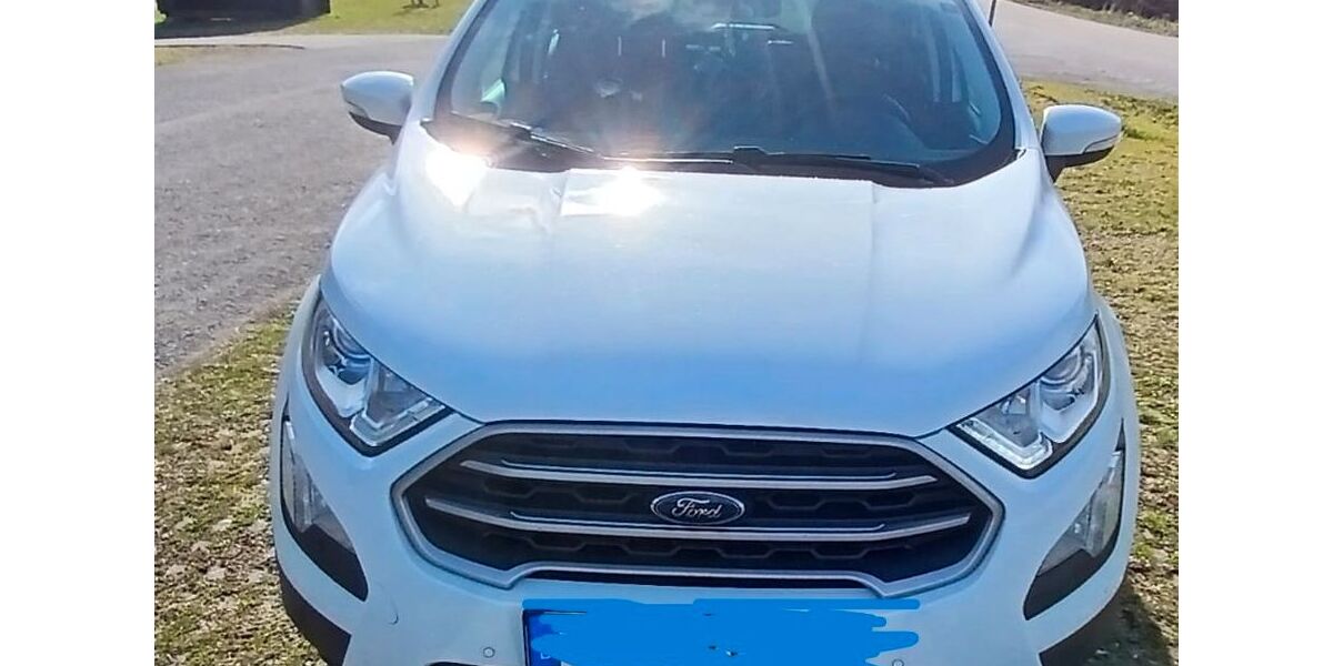 Ford EcoSport 108.220 km 9.800 &euro; Hallschlag 54611
