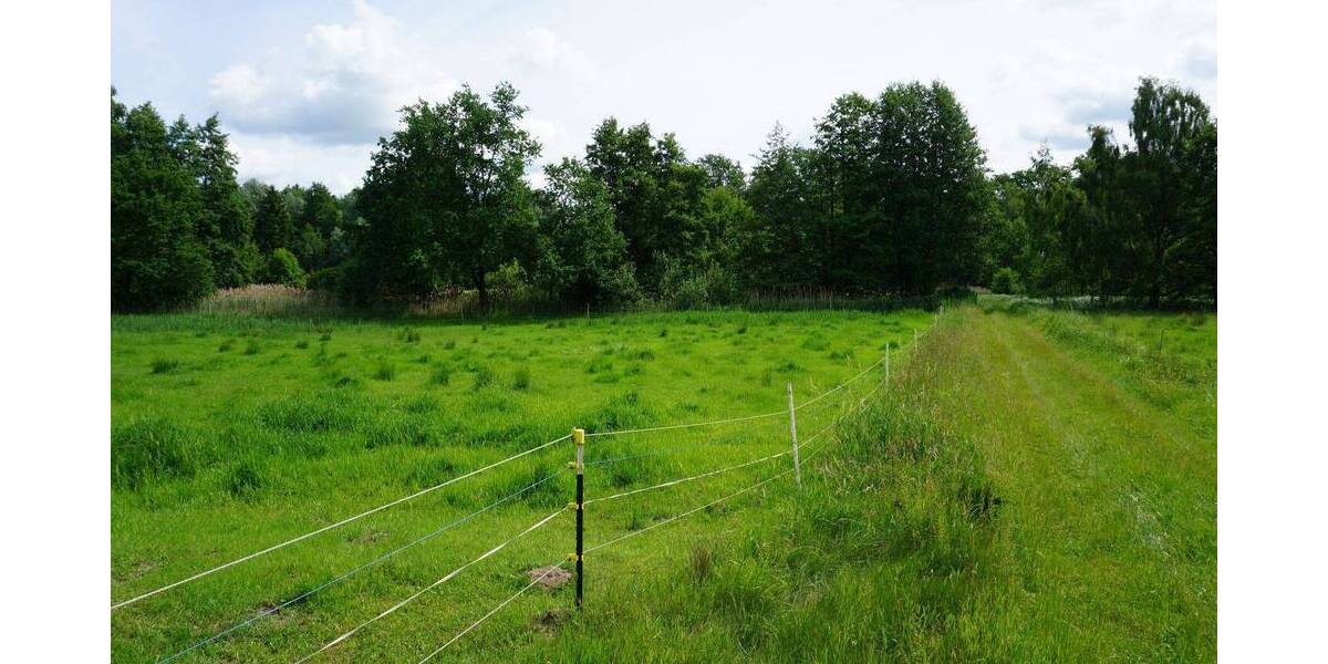 Grundstück Wrestedt Bollensen - 45.900&euro; | Angebot:26867065