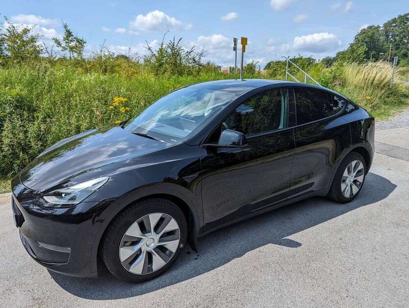 Model Y