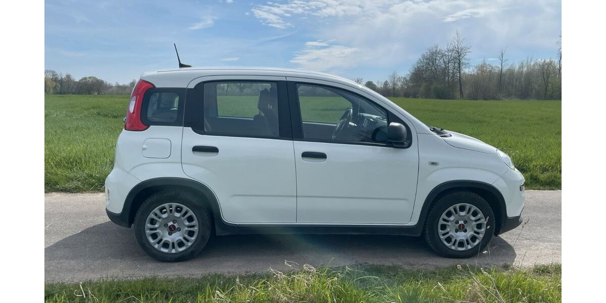 Fiat Panda 10.300 km 11.900 &euro; Münster 48147