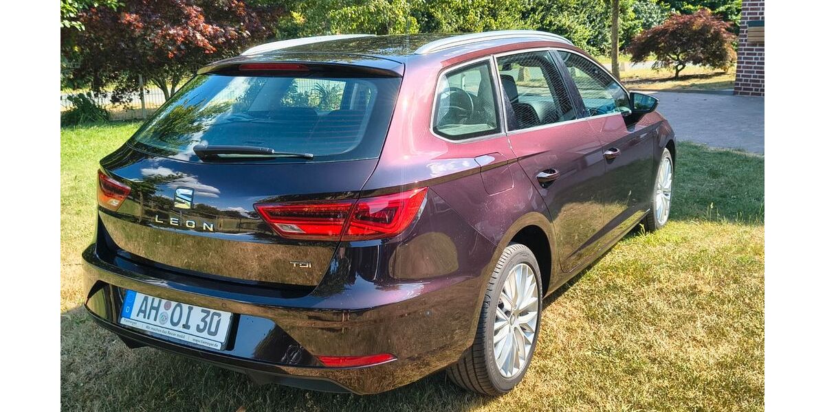 Seat Leon 196.200 km 7.950 &euro; Gescher 48712