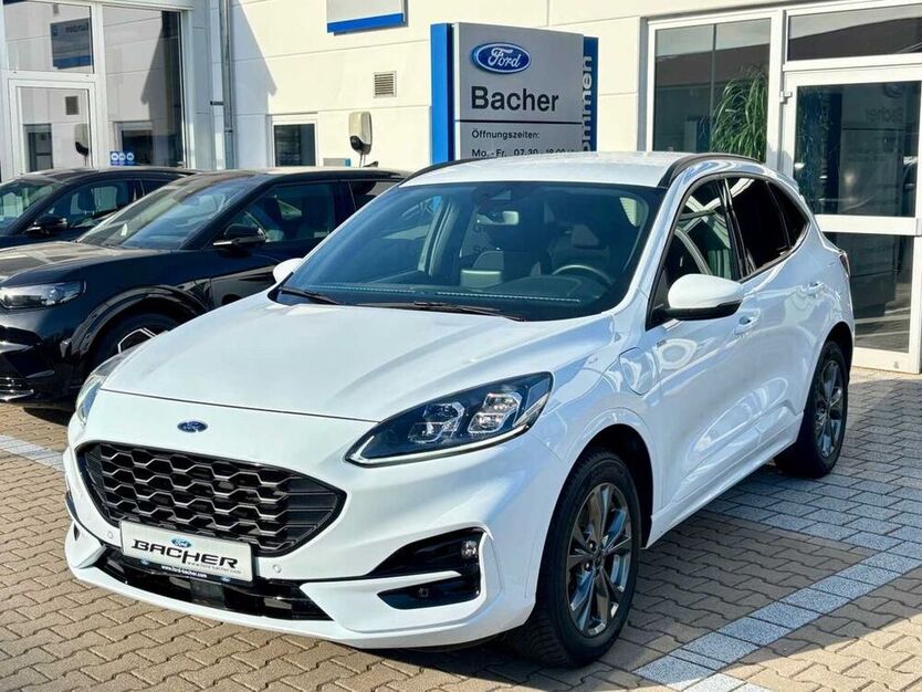 Kuga