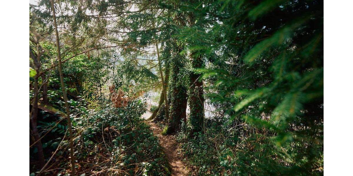 Mehrfamilienhaus, Wohnhaus Schramberg - 1 Zimmer, 333 m&sup2;, 248.500&euro; | Angebot:26188399