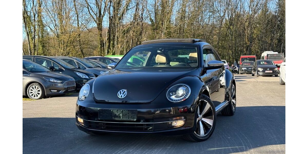 VW Beetle 255.760 km 6.400 &euro; Bitburg 54634