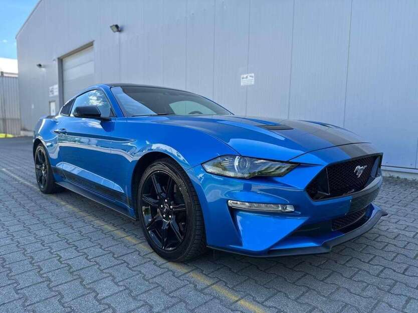 Mustang