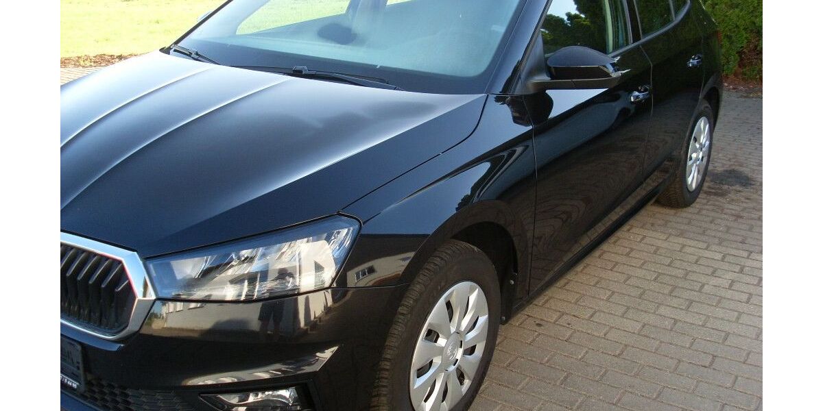 Skoda Fabia 60.000 km 14.250 &euro; Waldheim 04736