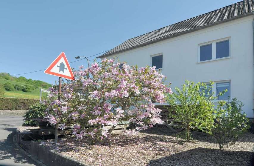 Haus zum Kaufen in Prüm 386.000 € 235 m²