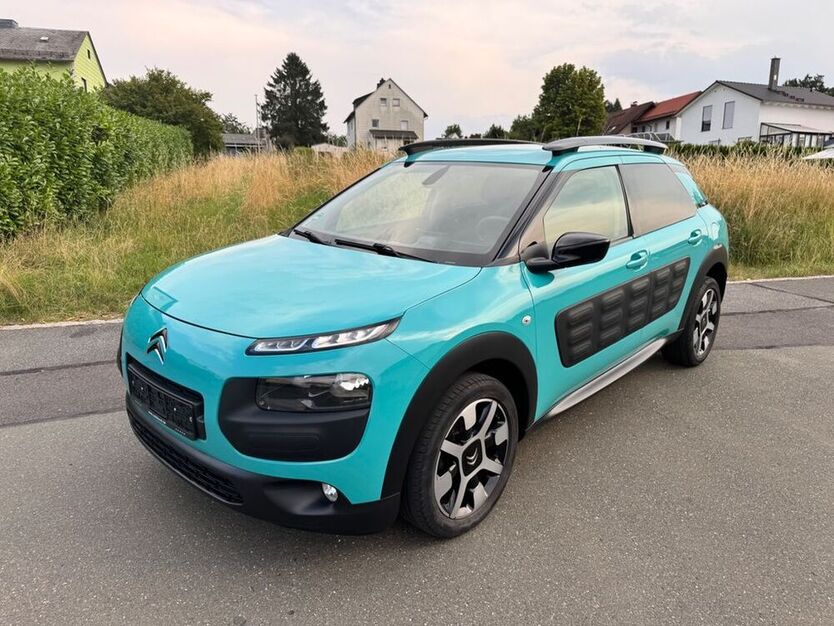 C4 Cactus