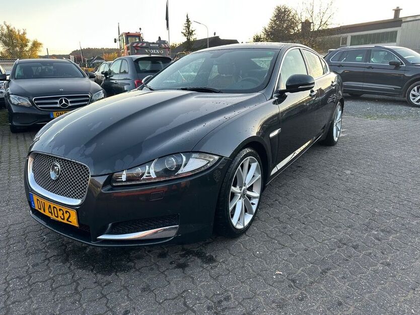 XF