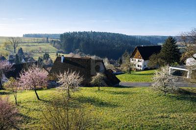 IHR ZUHAUSE ZWISCHEN APFELBÄUMEN - Grundstück Alpirsbach | Angebot:26292513