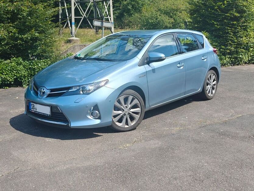 Auris