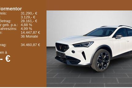 Cupra Formentor 28.832 km 31.290 &euro; Bingen / Rhein 55411