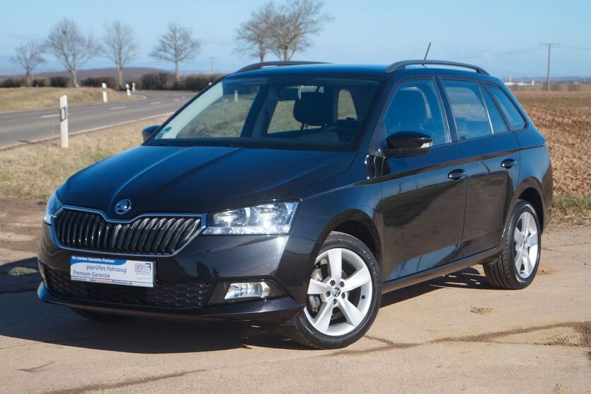 Skoda Fabia 43.600 km 12.490 € Bechenheim 55234
