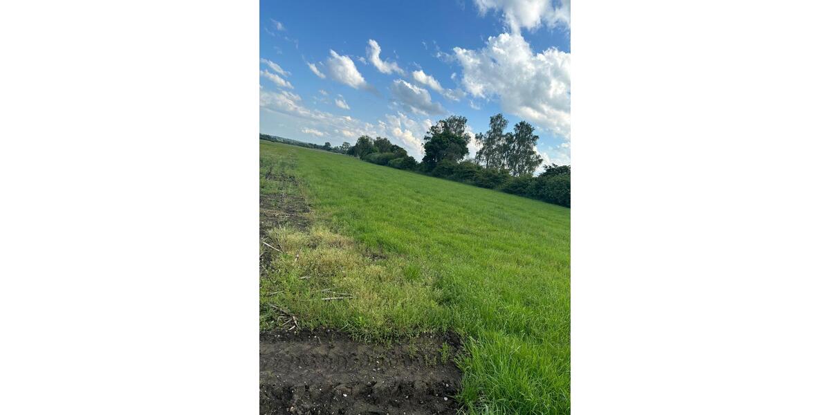 Grundstück Sontheim an der Brenz - 21.500&euro; | Angebot:20496215