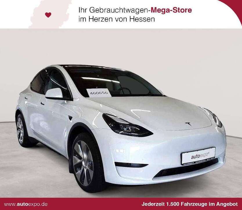 Model Y