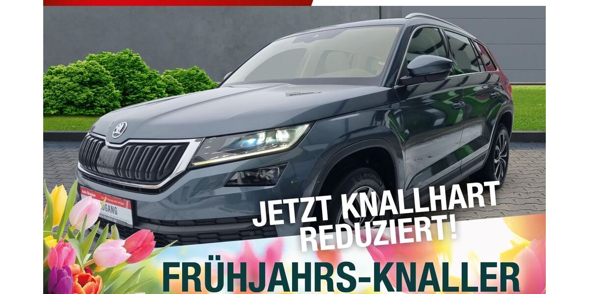 Skoda Kodiaq 144.000 km 22.470 &euro; Marktredwitz 95615