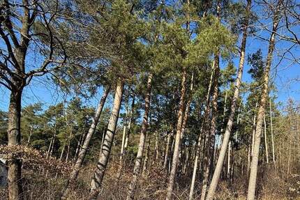 Grundstück Hitzacker (Elbe) Hitzacker - 79.000&euro; | Angebot:25697758