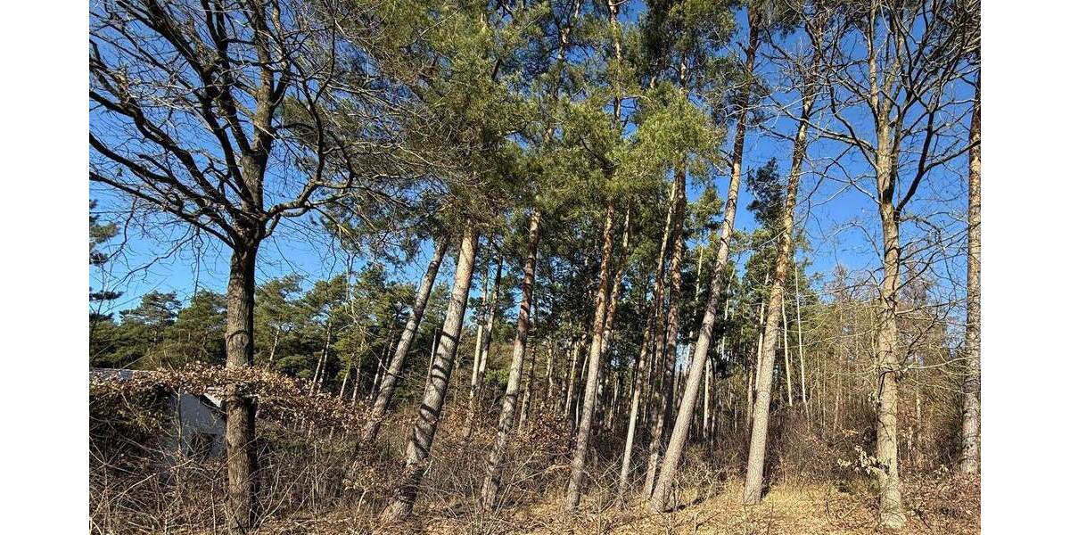 Grundstück Hitzacker (Elbe) Hitzacker - 79.000&euro; | Angebot:25697758