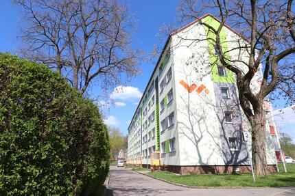 Wohnung Flöha - 2 Zimmer, 50 m&sup2;, 305&euro; | Angebot:22938358