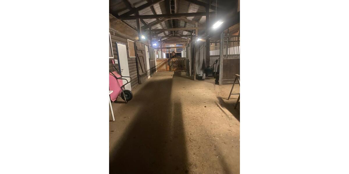 Gewerbeobjekt Drochtersen - 2.500&euro; | Angebot:26494489