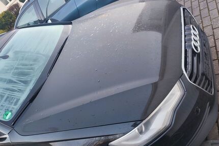 Audi A6 338.000 km 4.000 &euro; RIEDLINGEN 88499