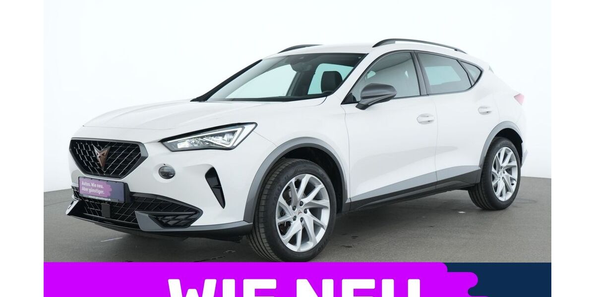 Cupra Formentor 41.448 km 23.675 &euro; Garching bei München 85748