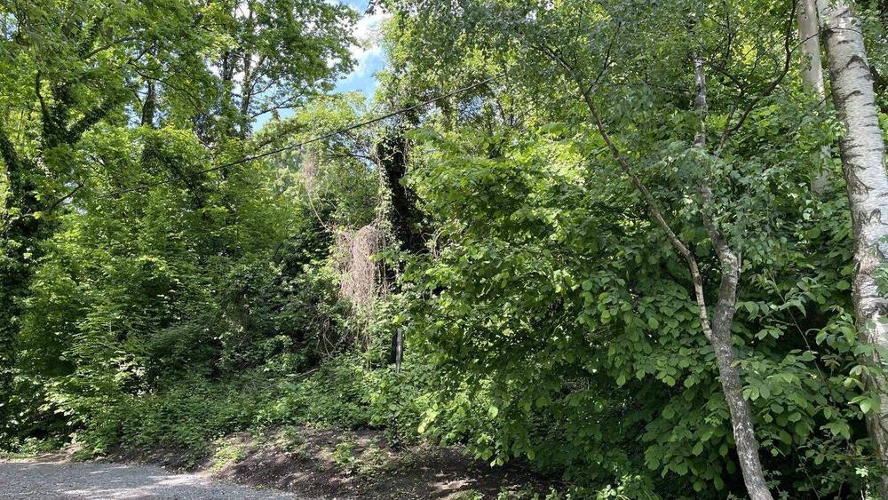 Grundstück Bannewitz Hänichen - 250.000&euro; | Angebot:20713582