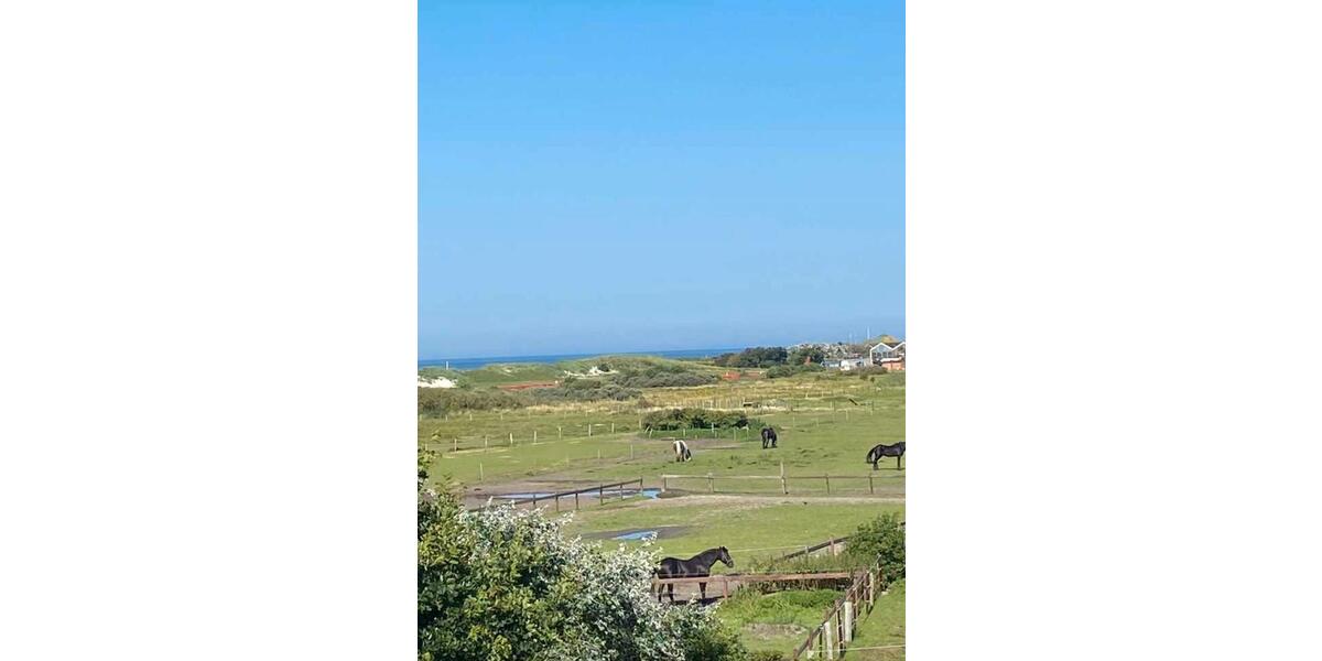 Reihenhaus Norderney - 6 Zimmer, 168 m&sup2;, 1.540.000&euro; | Angebot:26416208