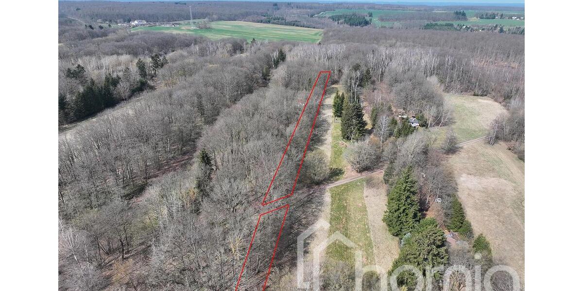 Kompakter Laubmischwald ca. 1.740 m² bei Sangerhausen - Idylle pur in der Waldsiedlung zimmer