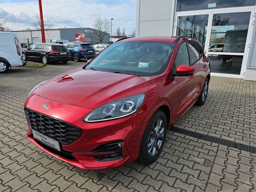 Kuga