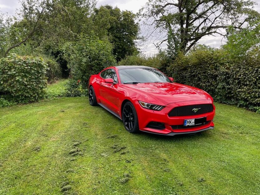 Mustang