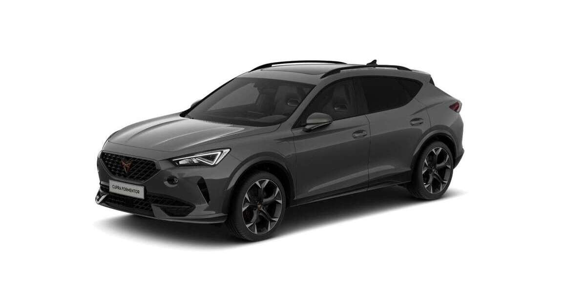 Cupra Formentor 29.411 km 27.890 &euro; Mainz-Kastell (Wiesbaden) 55252