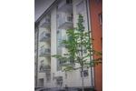 Hochparterre Konstanz Konstanz-Fürstenberg - 20 Zimmer, 44 m&sup2;, 258.000&euro; | Angebot:27021312