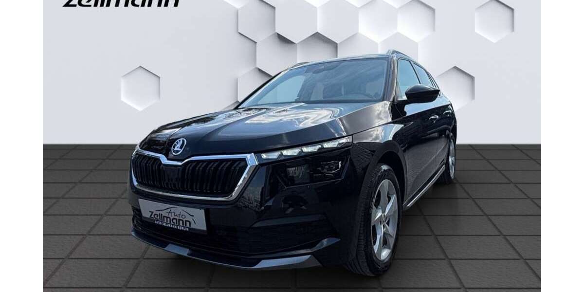 Skoda Kamiq 43.660 km 19.645 &euro; Berlin 12524