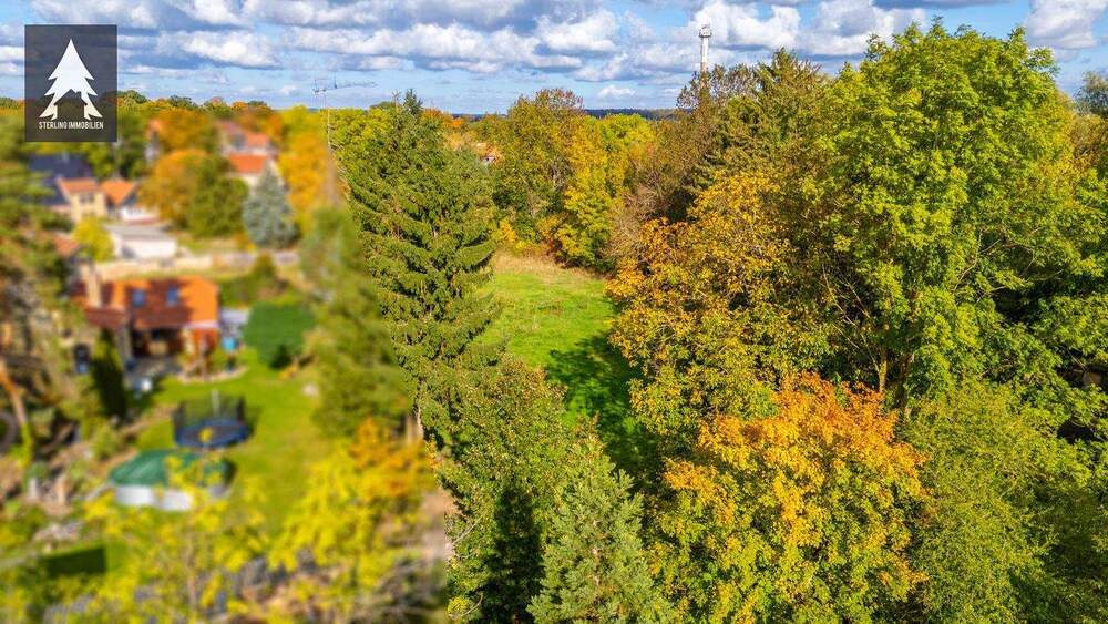 Grundstück Seeland Hoym - 49.000&euro; | Angebot:25681729