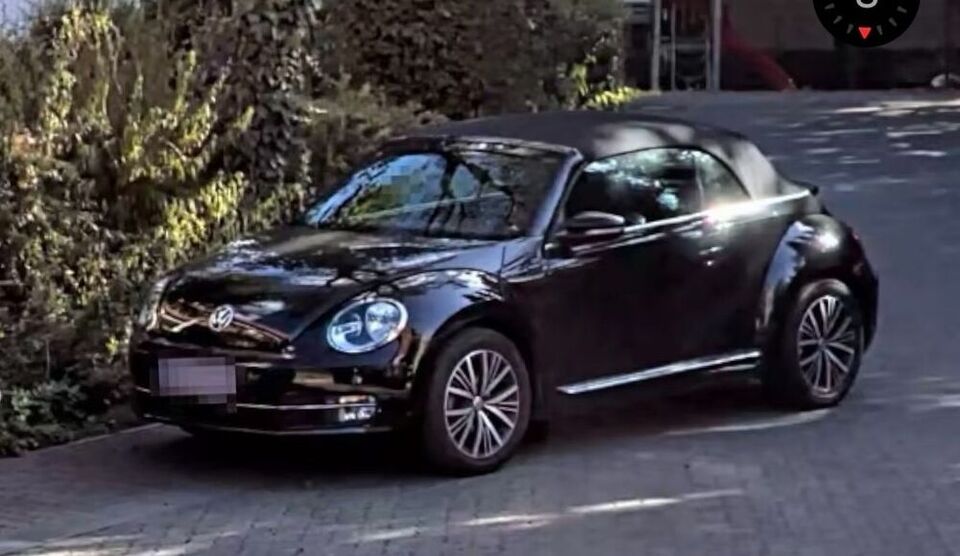 Beetle