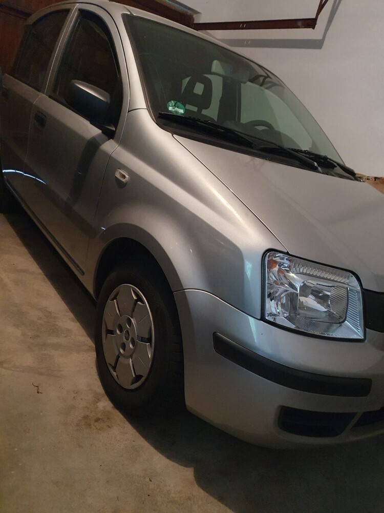 Panda