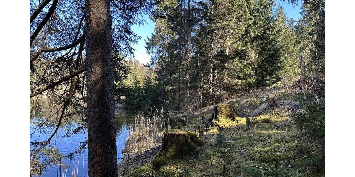 Grundstück Dießen Dettenschwang - 250.000&euro; | Angebot:26202322